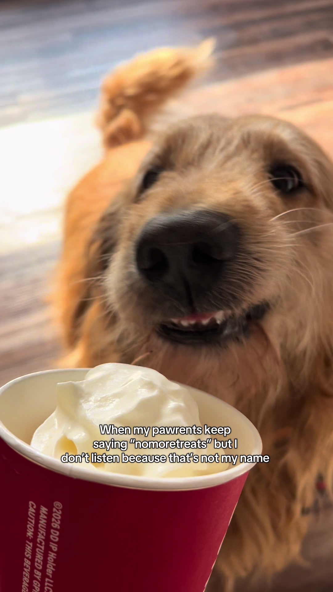 @Leo the Doodle