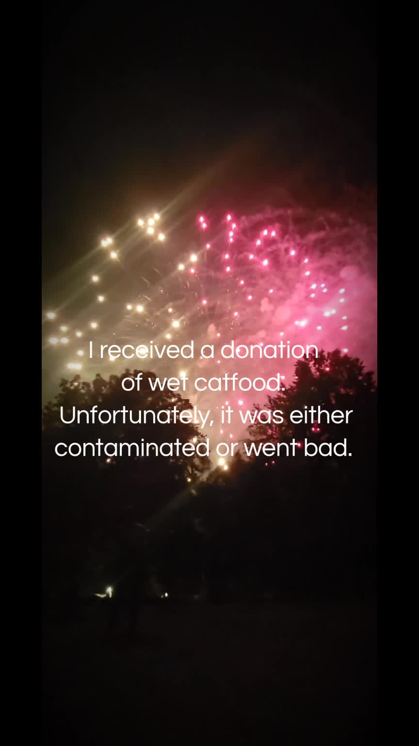 @No More Sad Kitties