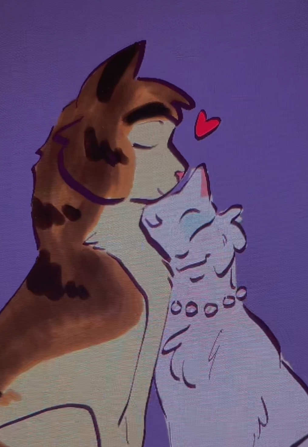 @Tomcat||COMMS OPEN