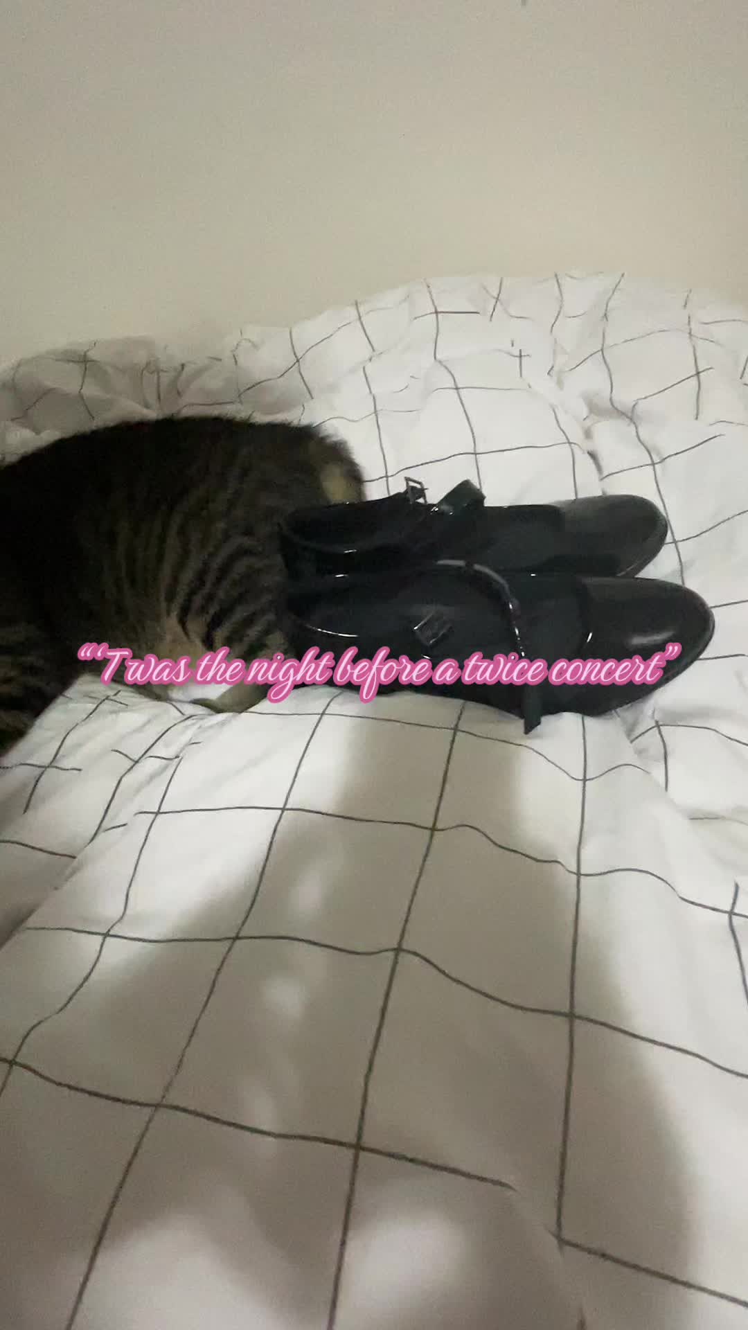 @𝒫𝓊𝒻𝒻𝓎𝒷𝑒 ・ ❀ ゚ ☂︎︎ ⚯ ͛