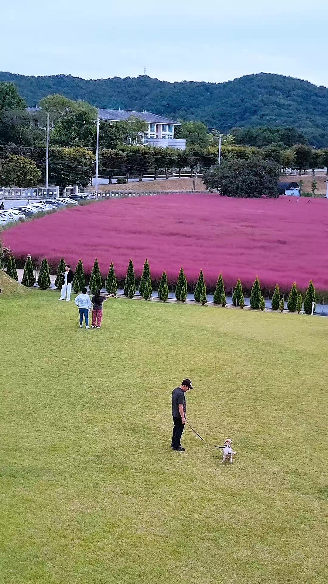 @๋ฏธ์ค