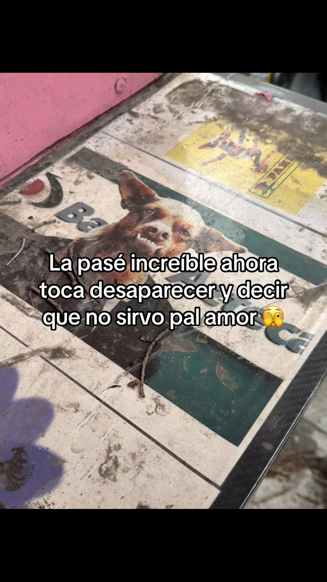 @Tu Flako Vv