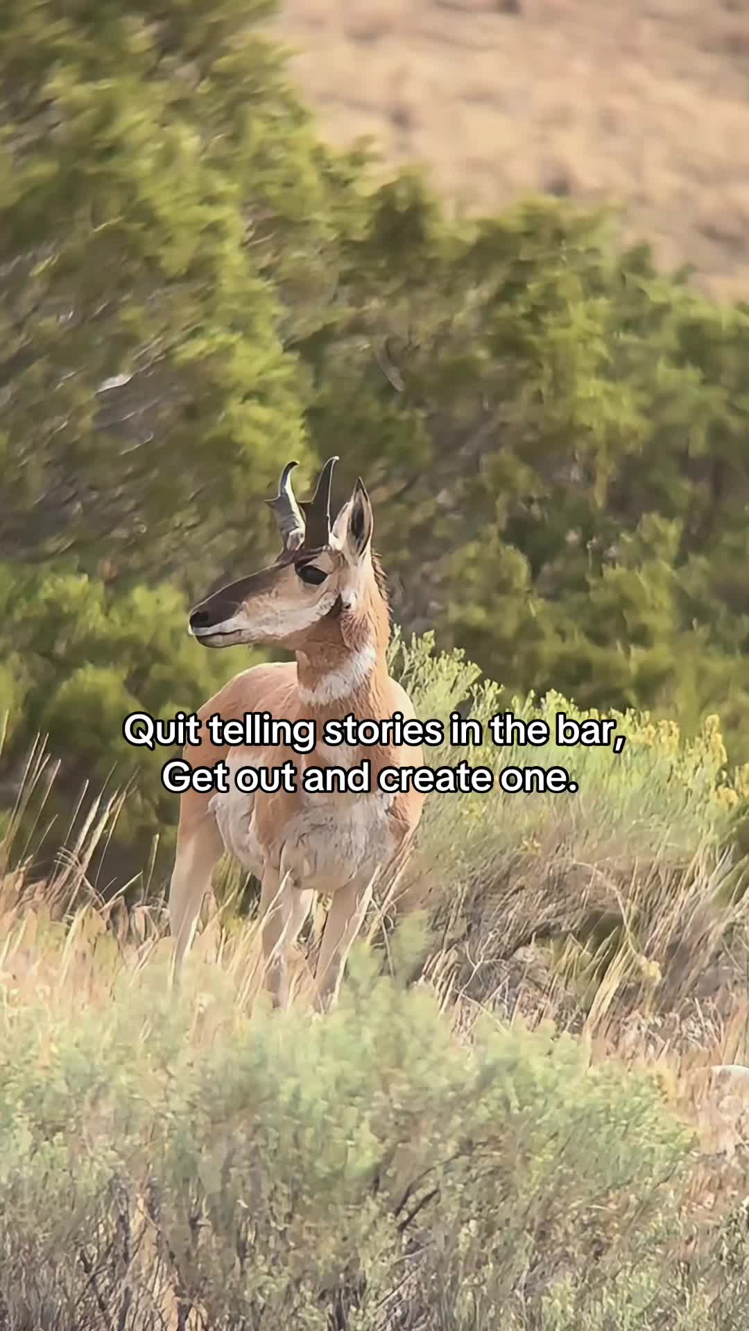 @James