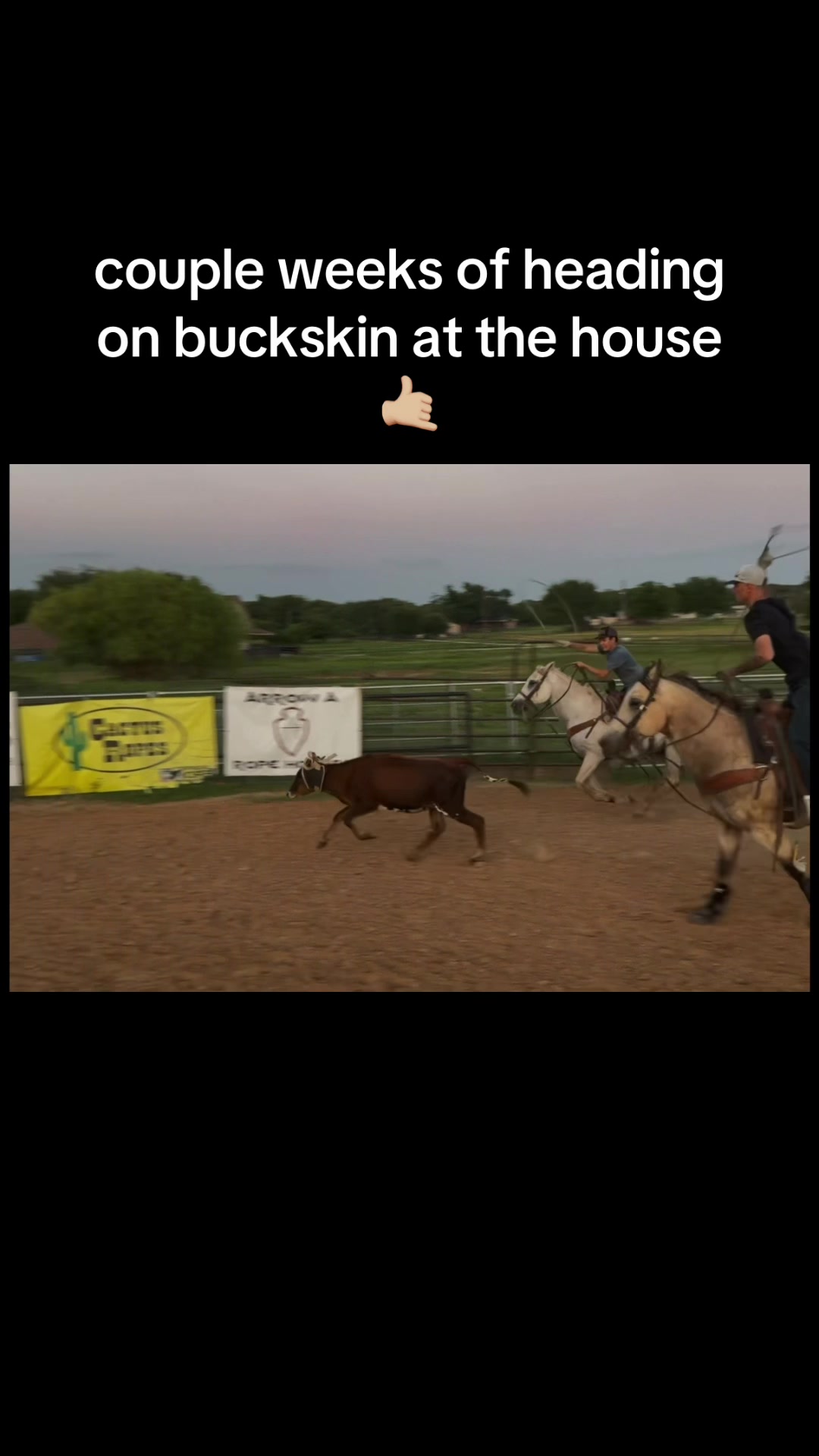@Austin Apodaca