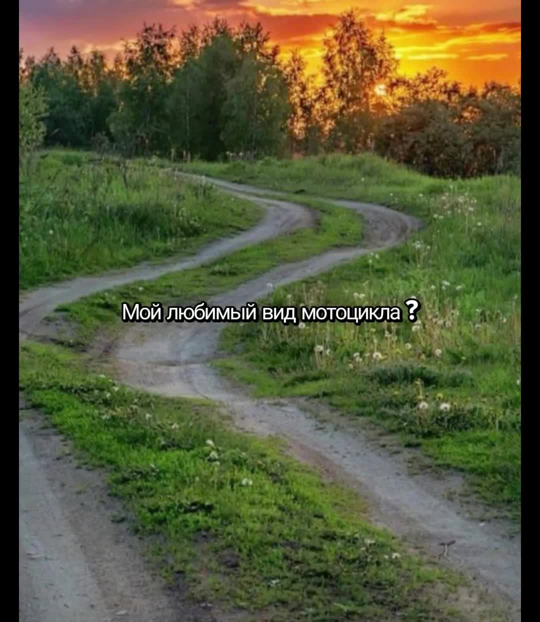 @*+:。.。Мото Джуди。.。:+*