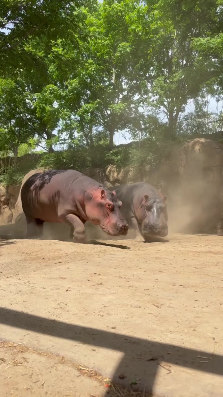 @Cincinnati Zoo