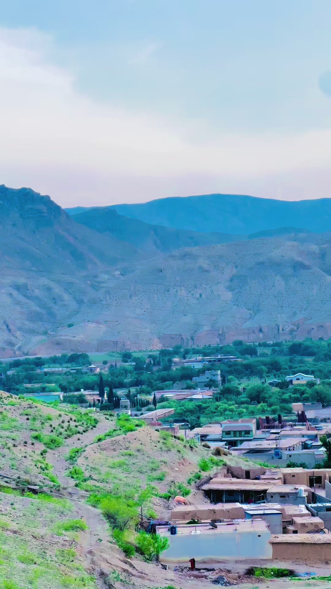 @shahista.sinjawi.0