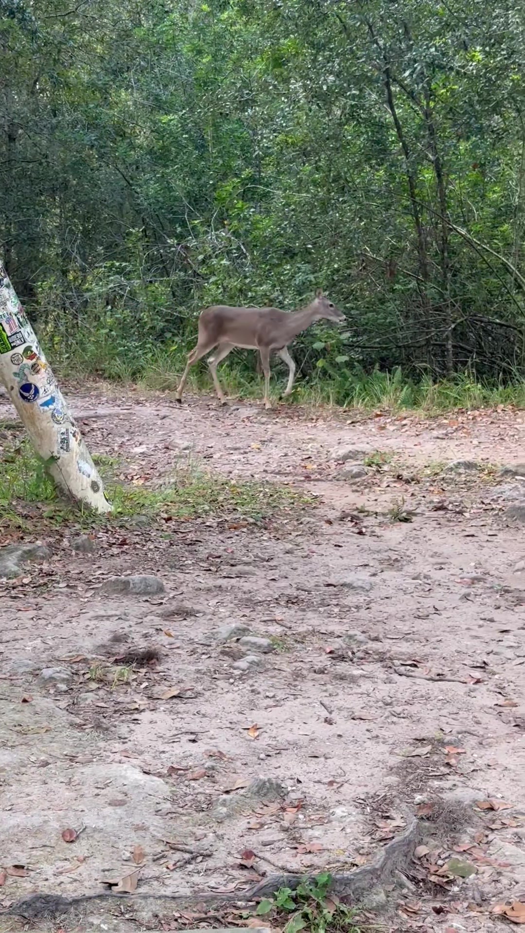 @Flow_MTB