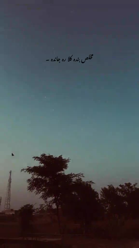 @Tayyab Khan