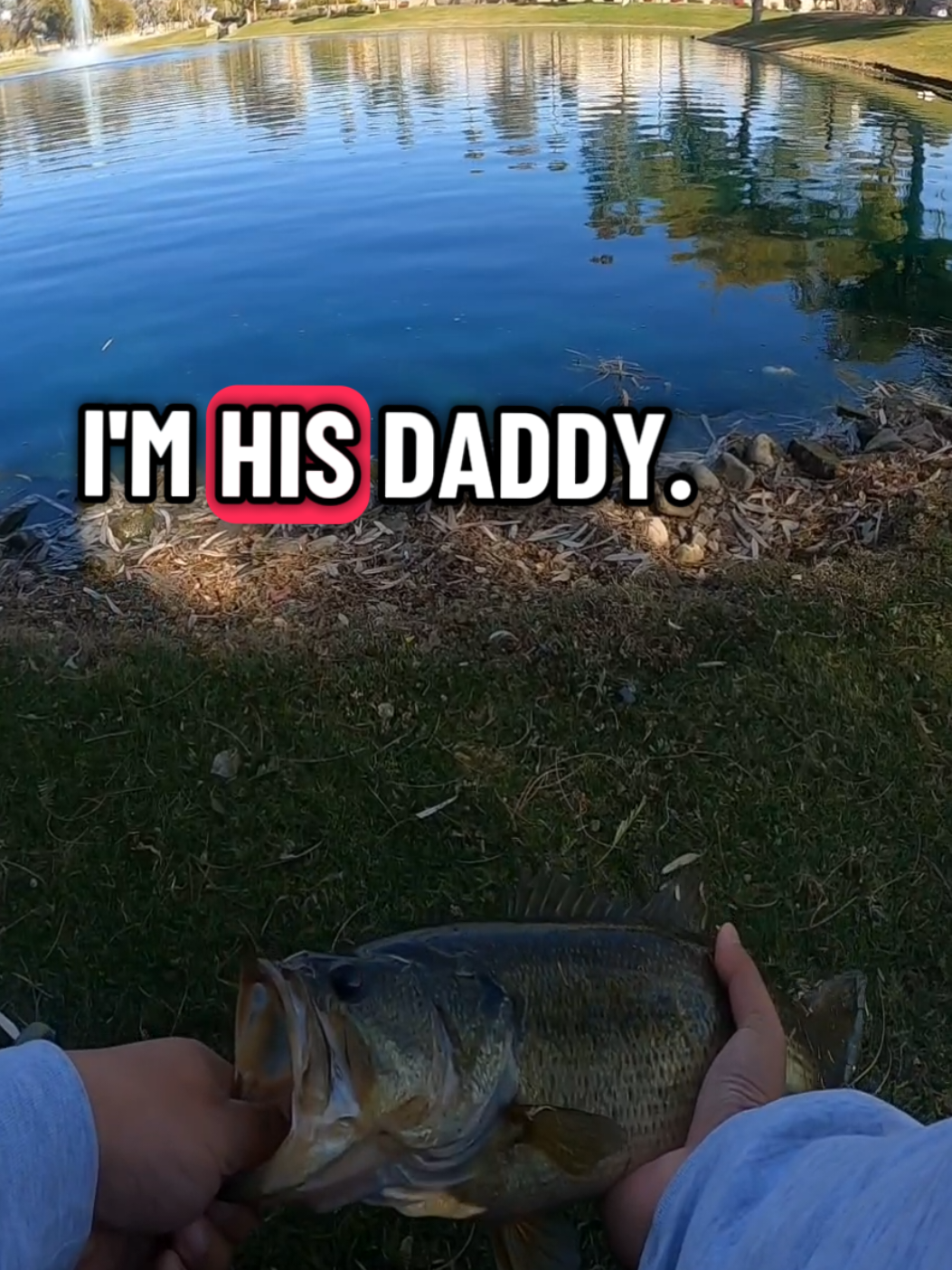 @HooksetAZ