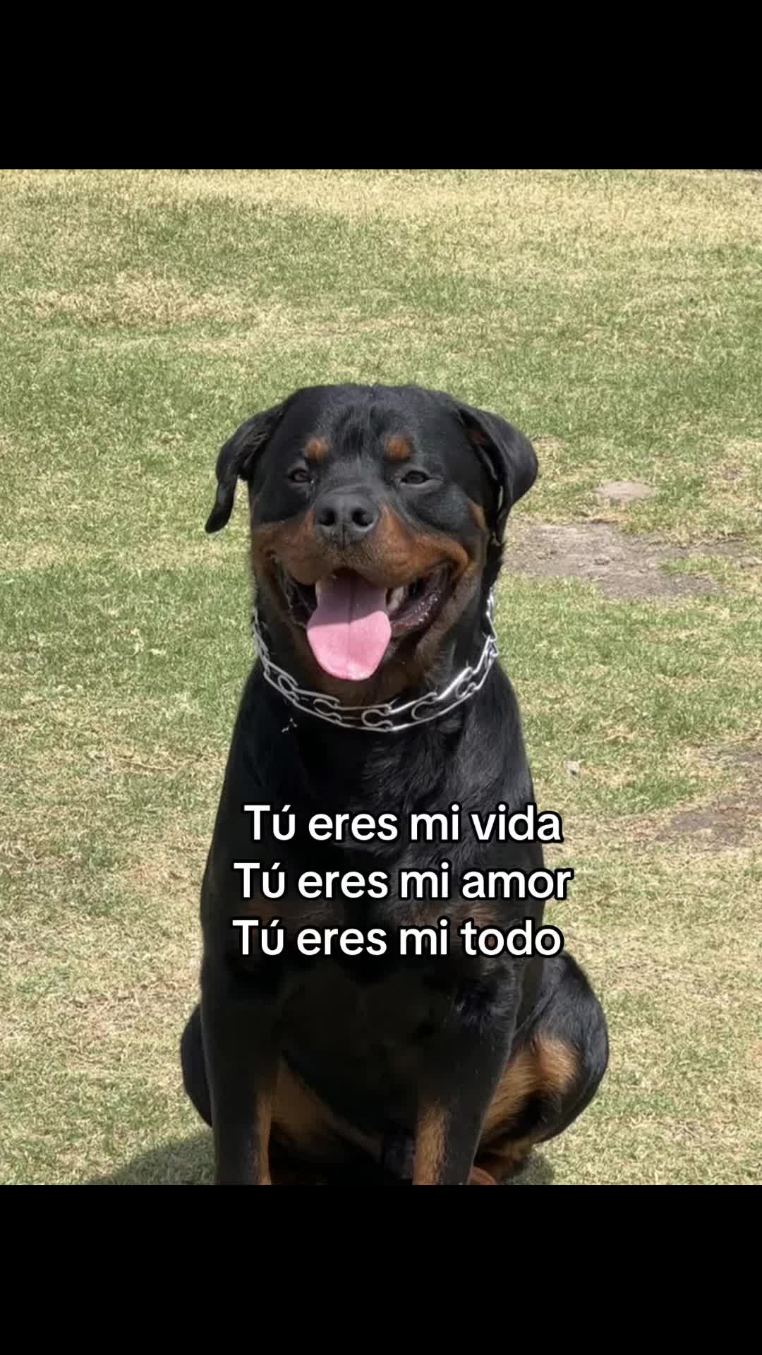 @Karol