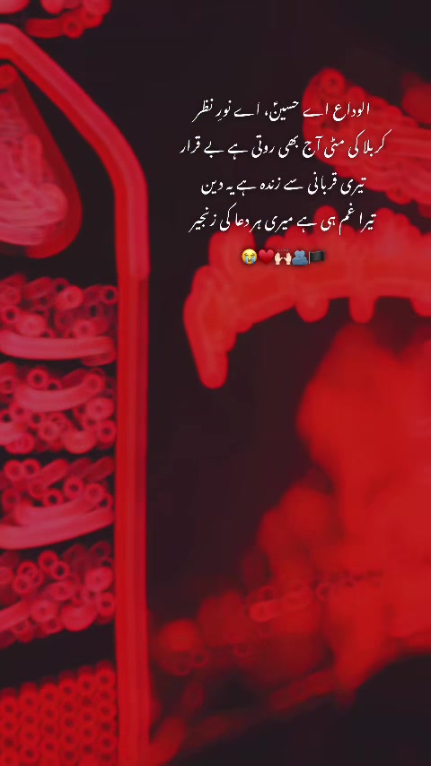 @𝓐ᥫ᭡.𝓐ᥫ᭡