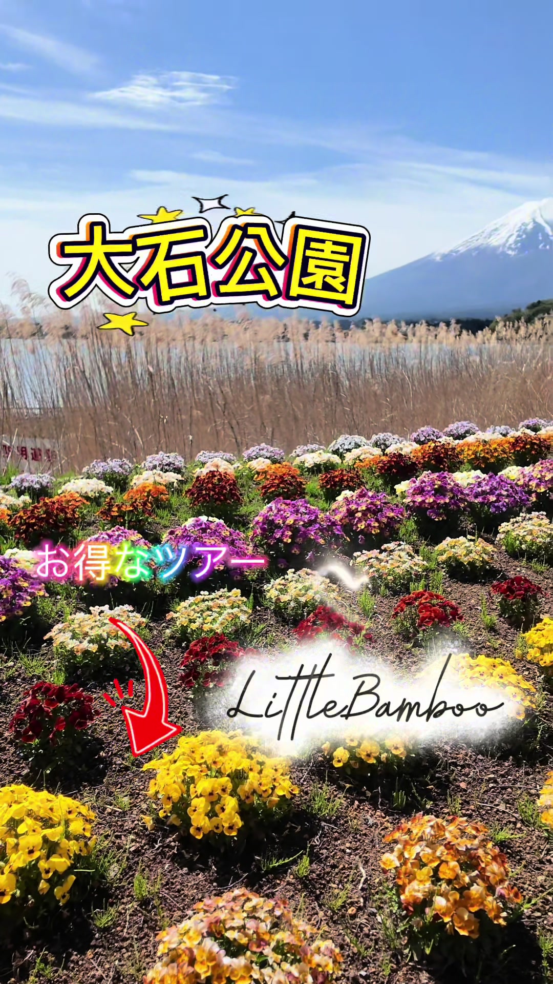 @LittleBamboo.ls