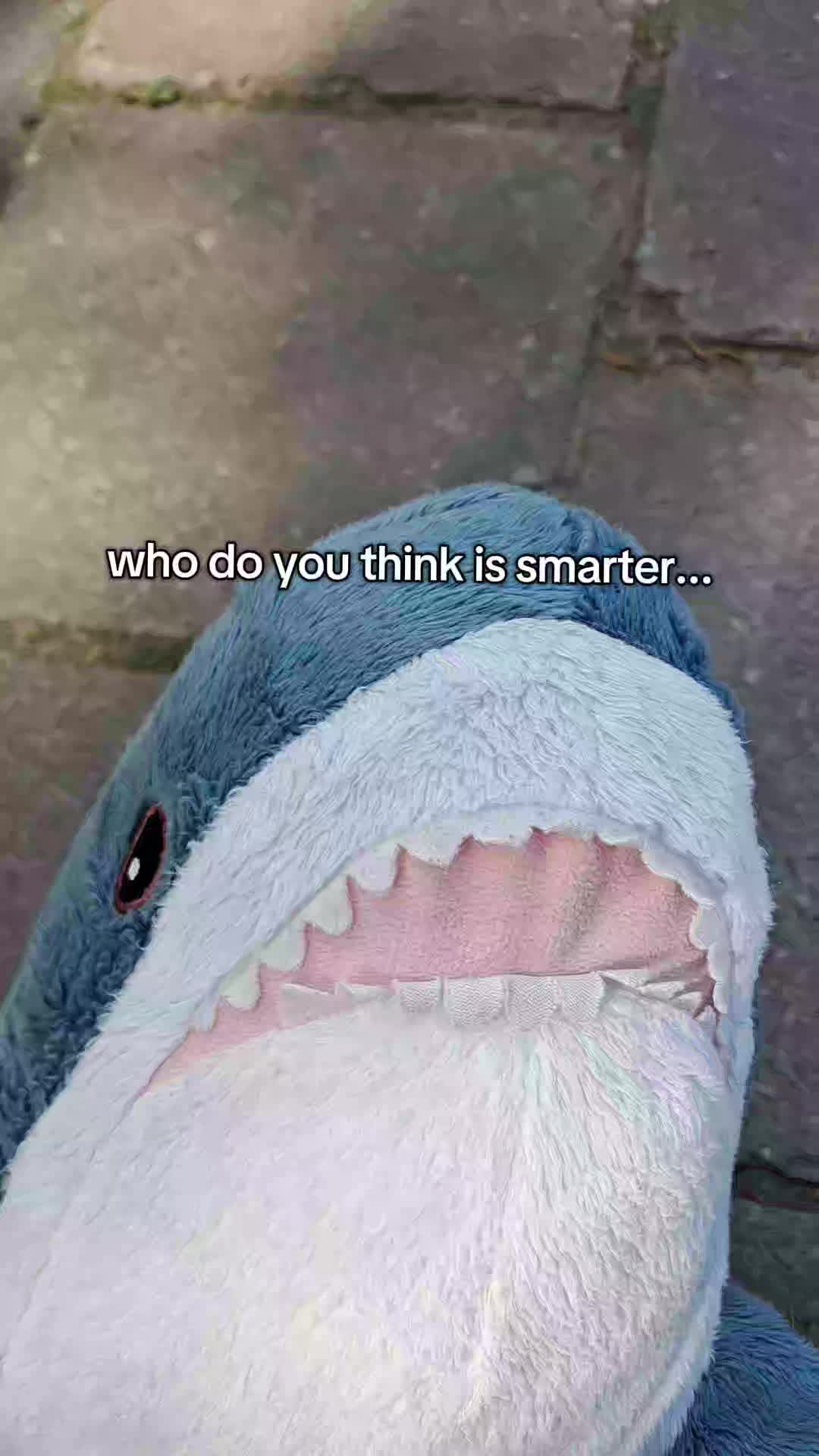 @Willie the Shark <3