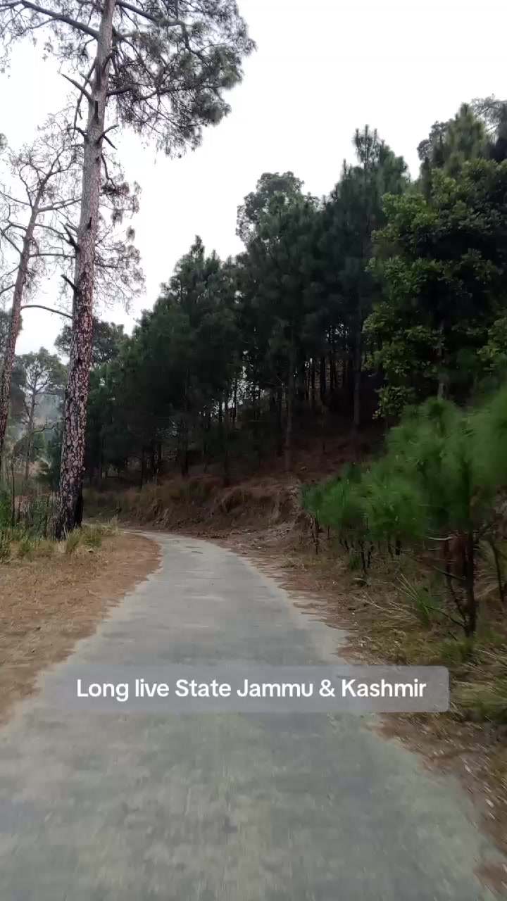 @Imran Mushtaq Chauhan