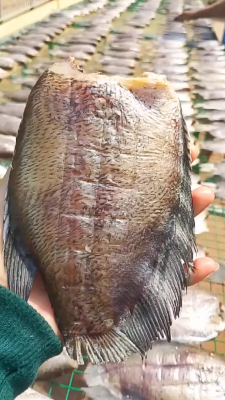 @Quốc Kh&aacute;nh