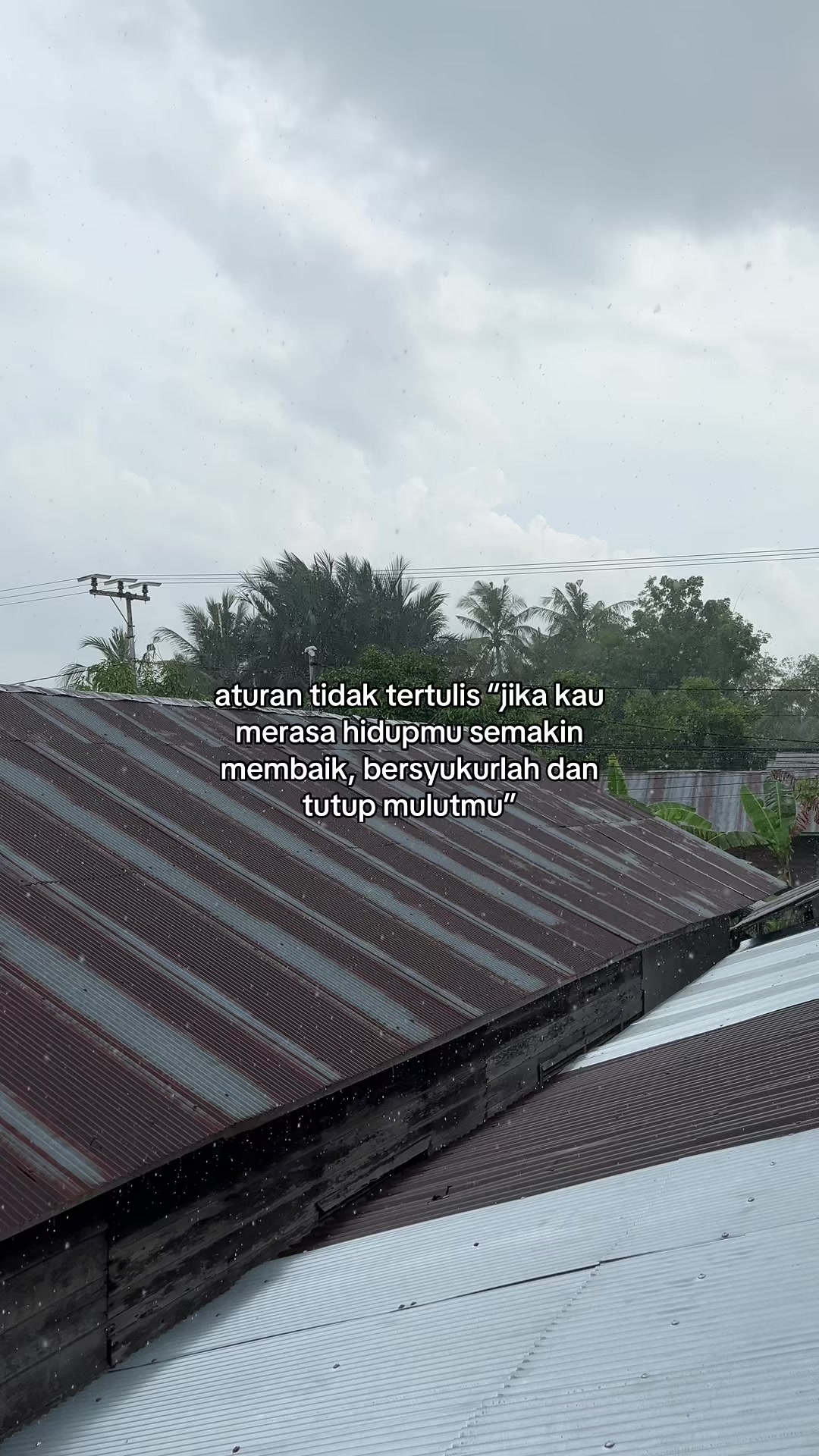 @IchaAurel🌼