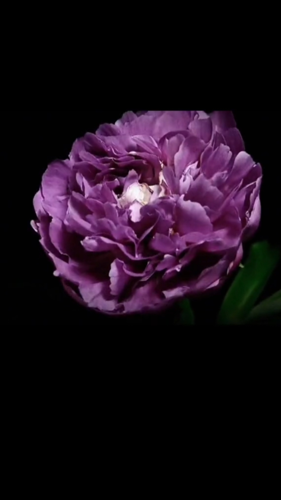 @𝔎𝔞𝔱𝔢𝔯×××@