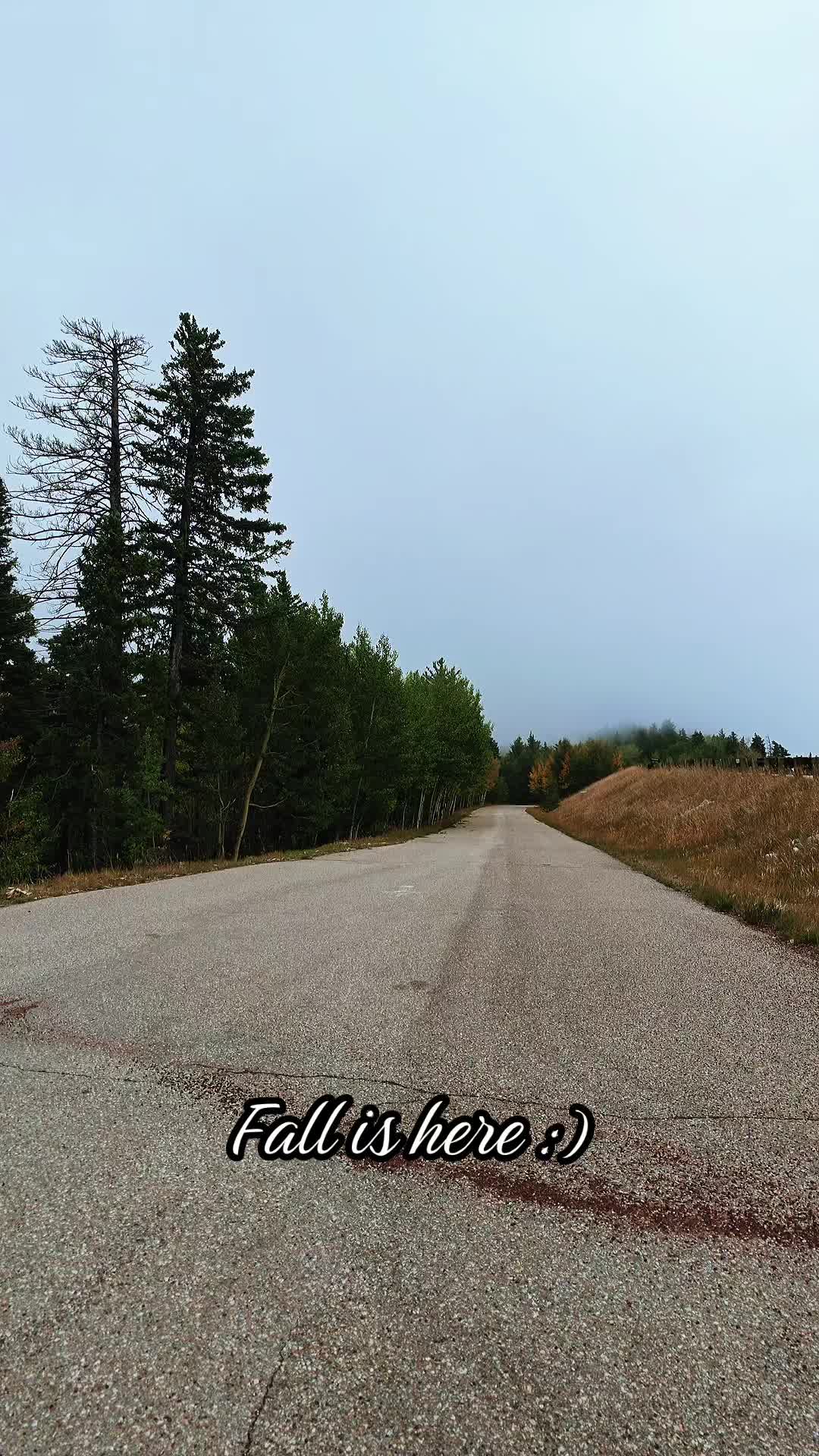 @Keanu