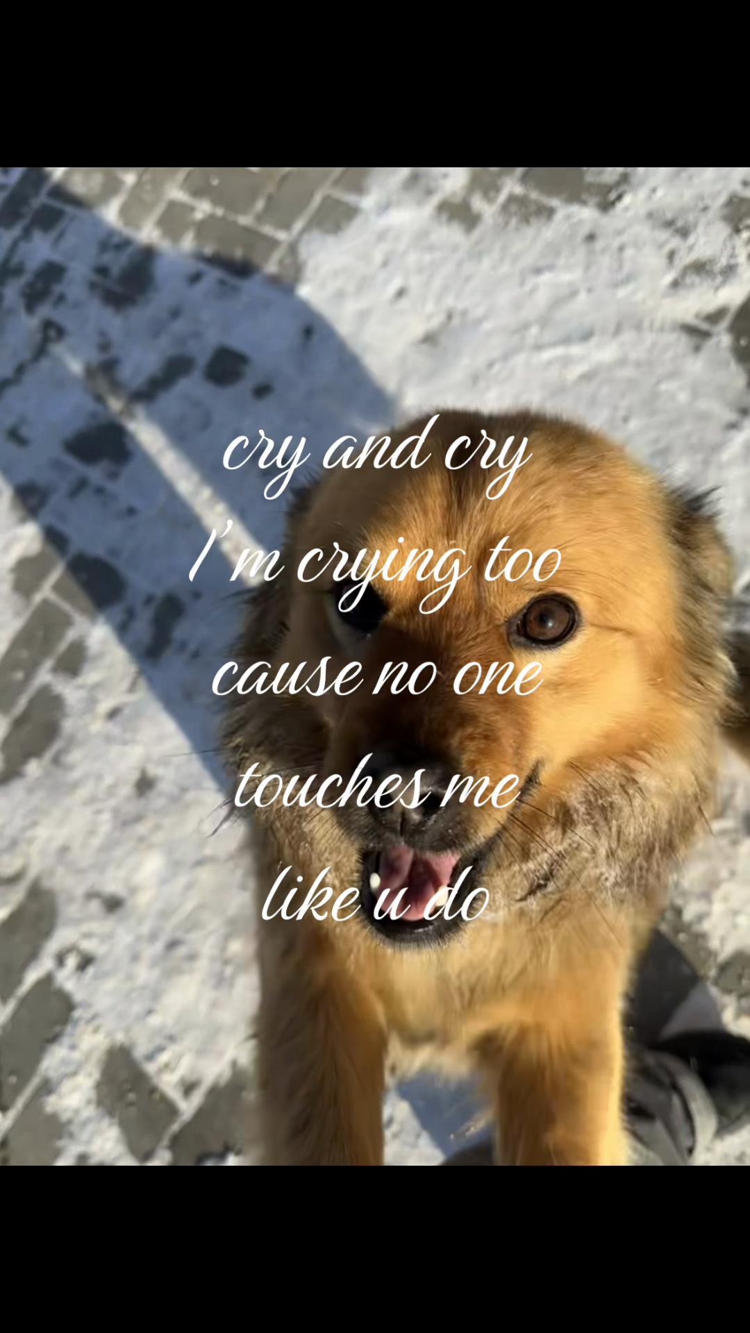 @c1nnamon ꩜✧