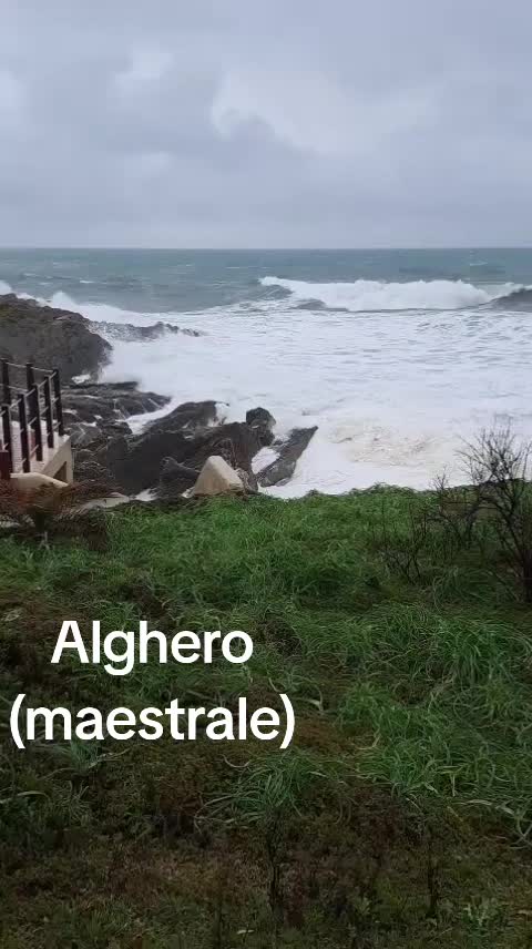 @Dario