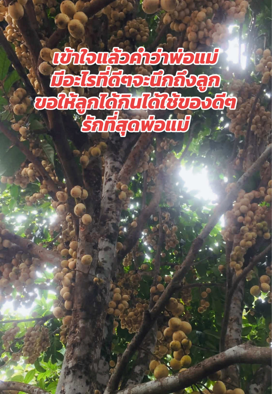 @SAK คนตัวเล็กอยากมีกล้าม