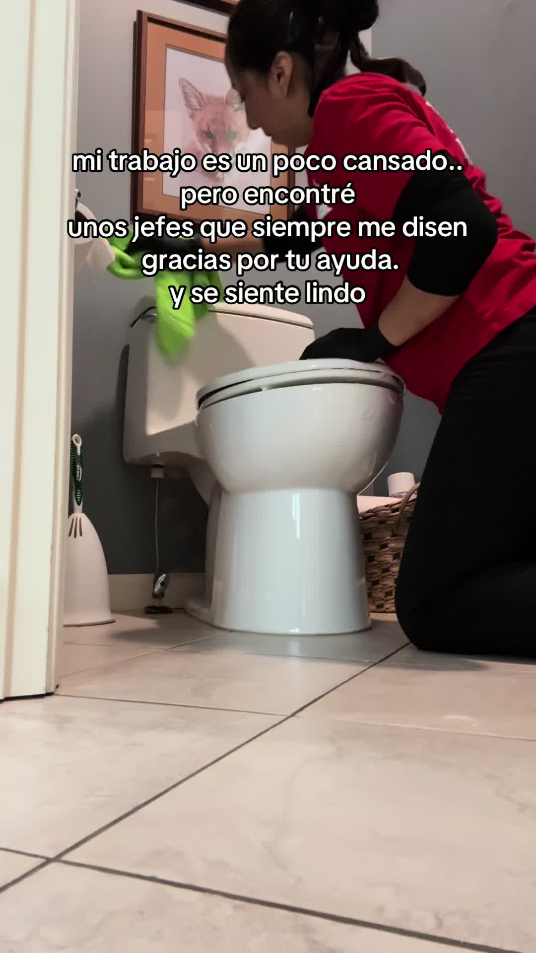 @Fabioli’s Cleaning acción