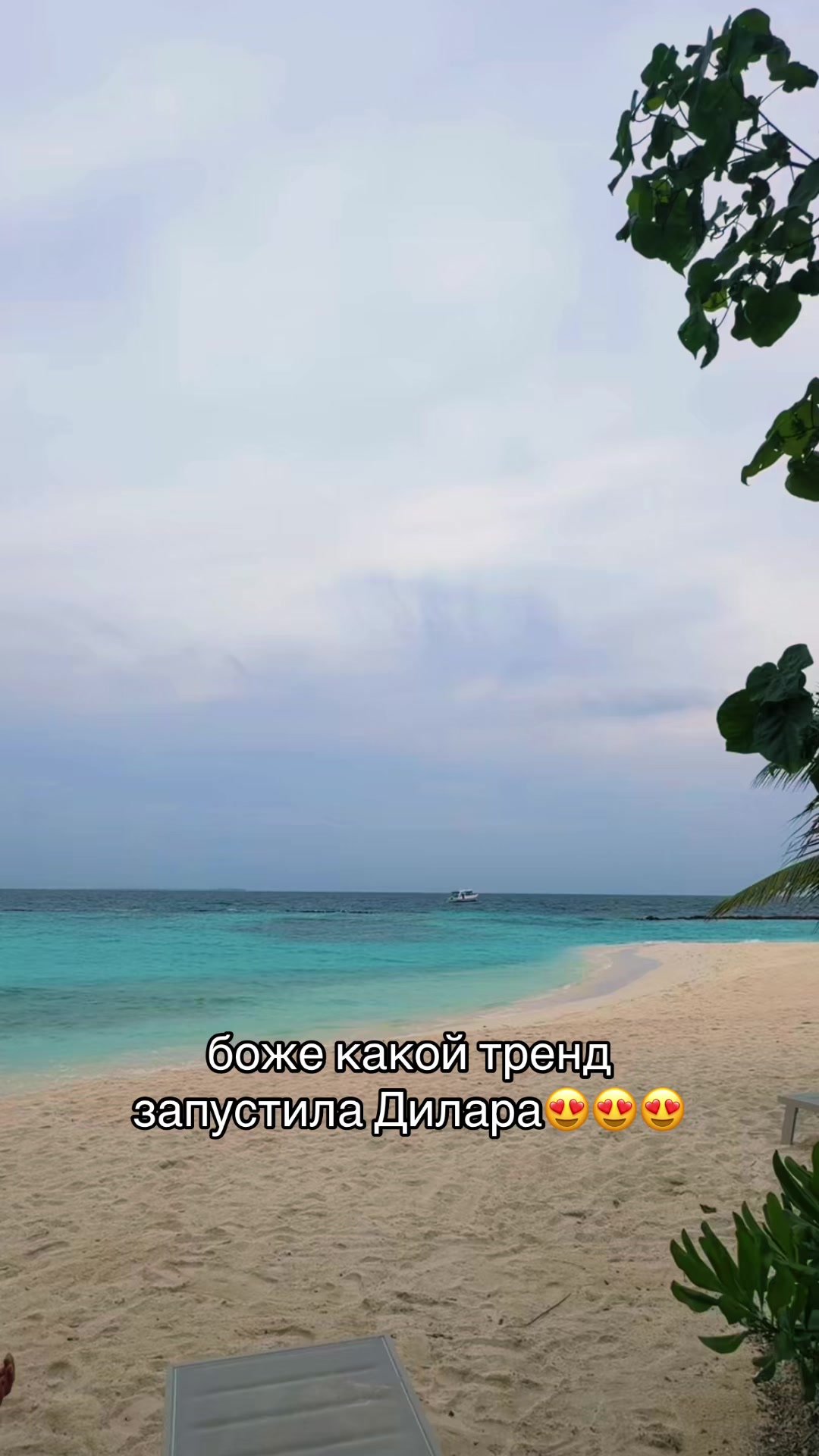 @shebbaby