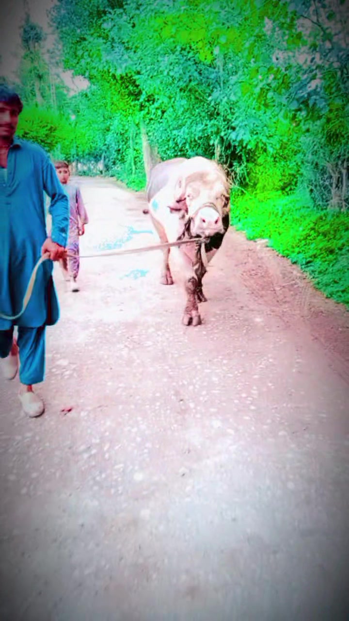 @ASAD Sarkar123