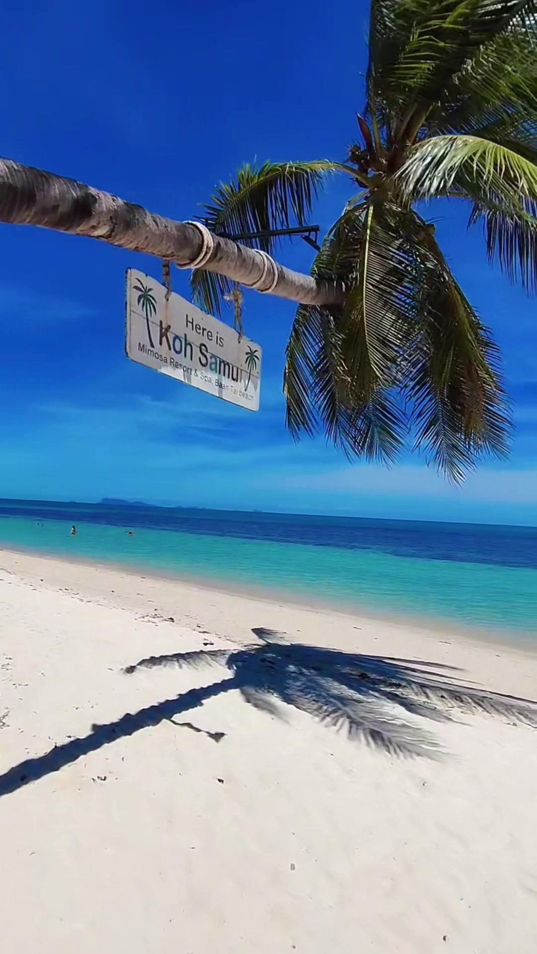 @🏝️ Magical Island Samui 🌴🍹