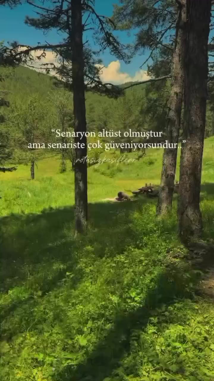 @DÜNYA BURASİ NE ARASAN İÇİNDE