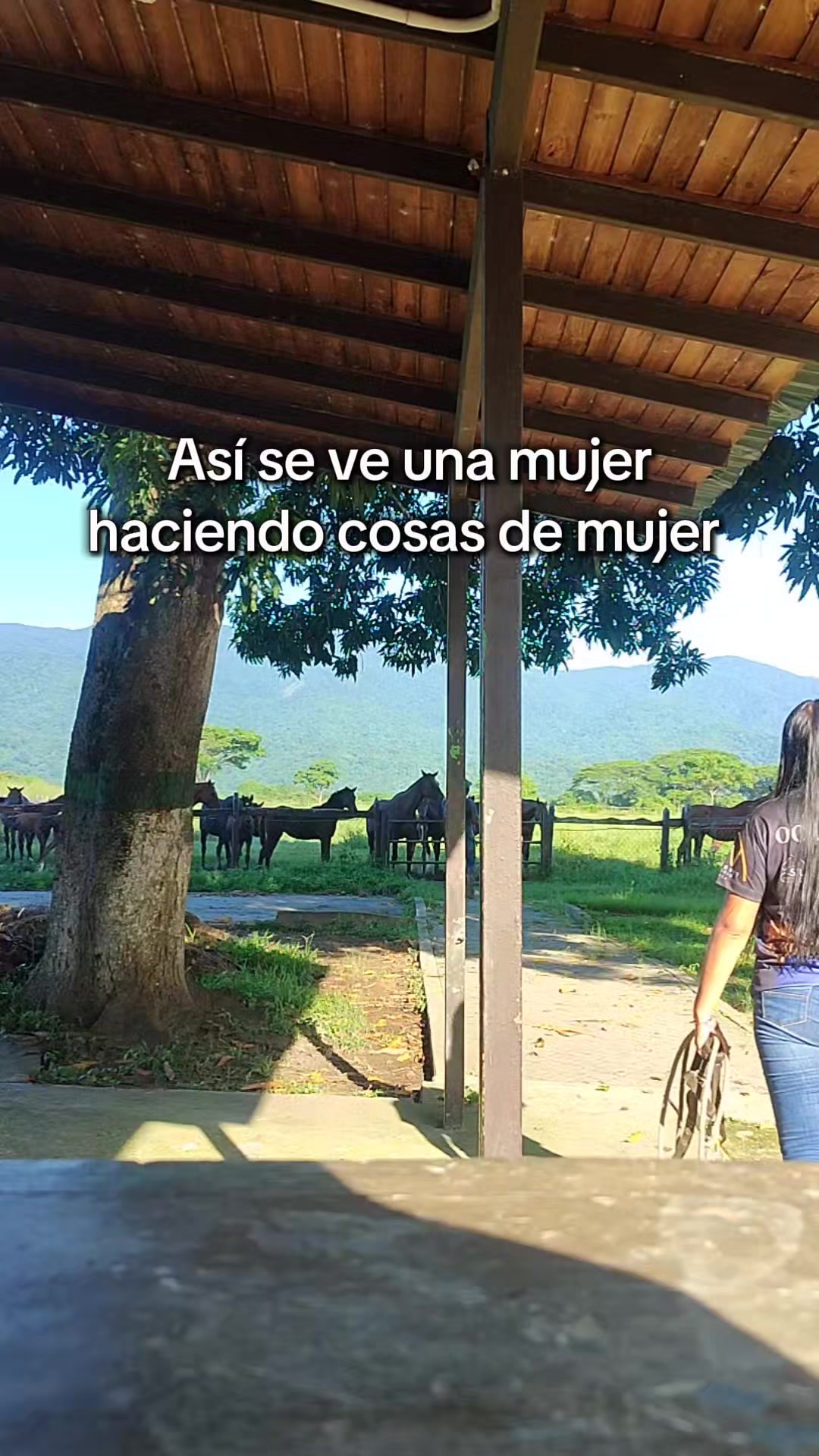 @Mariangel Ocanto :)