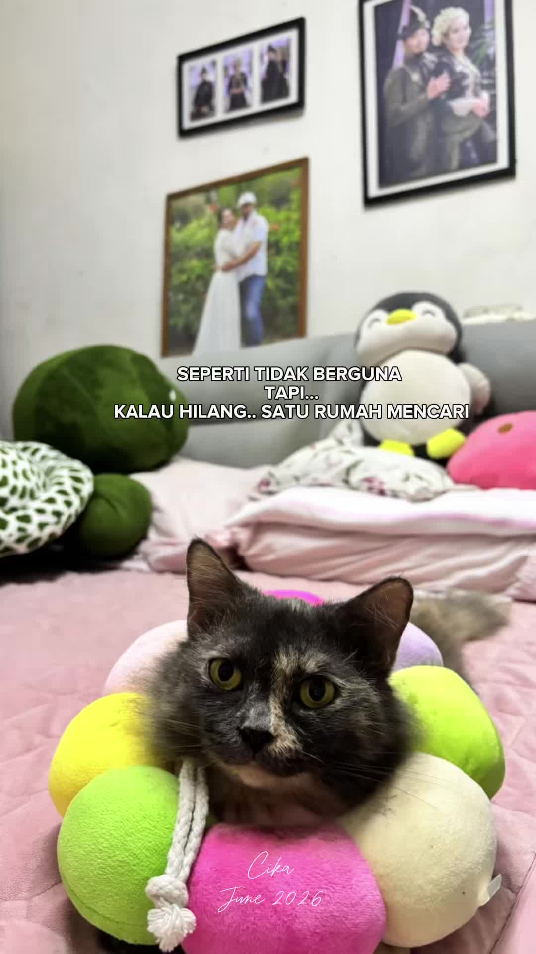 @WAWANIS NUR
