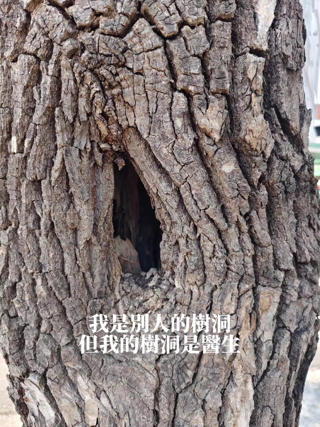 @塔羅占卜師-卡洛琳