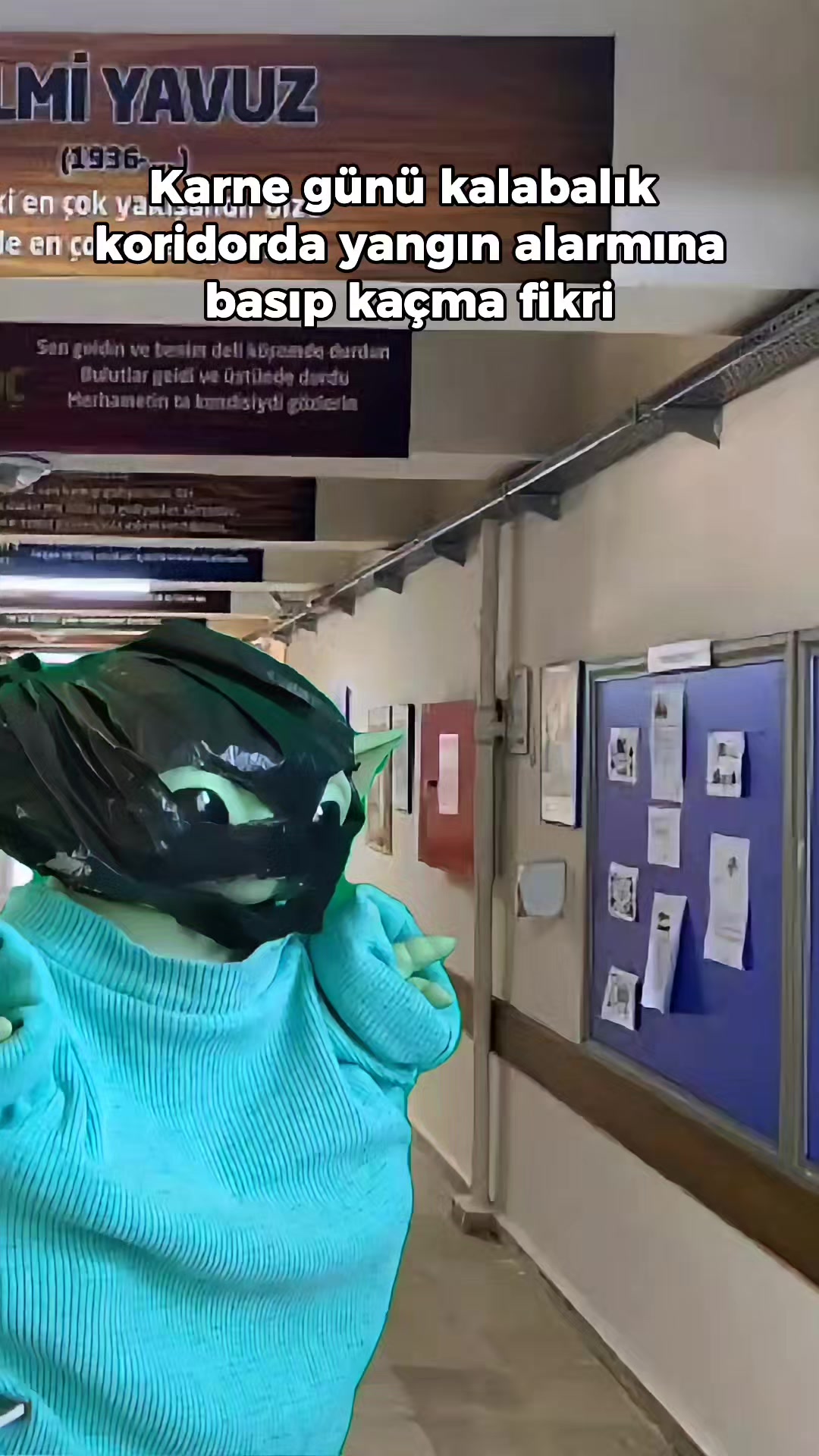 @Bebiş Yoda