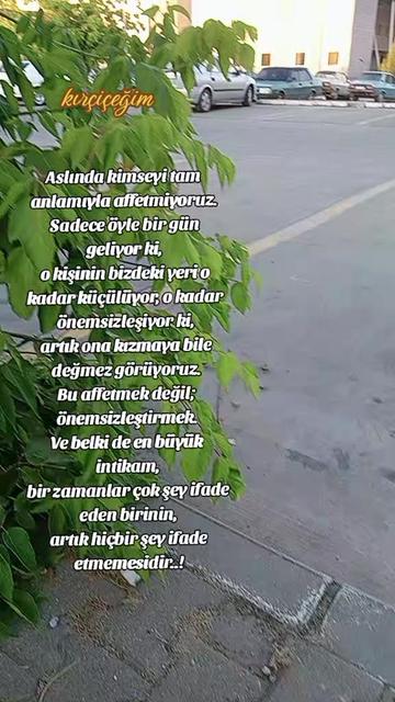@Ayşe demir