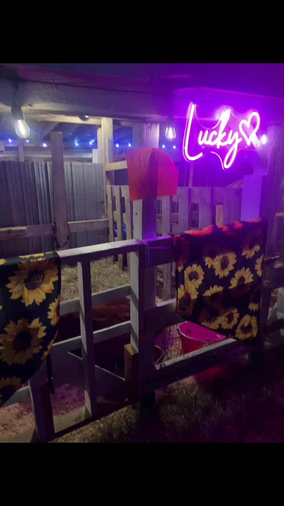 @Stephanie J 🇨🇦
