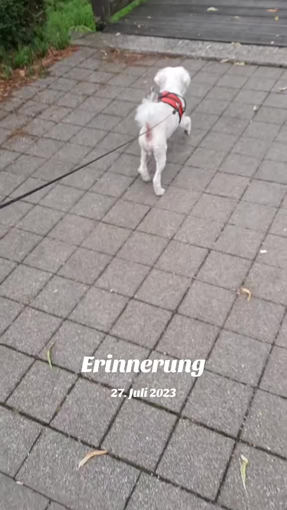 @erichkrauss2