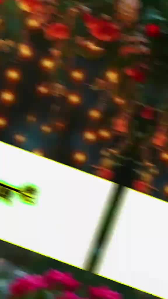 @Daku Moharaj