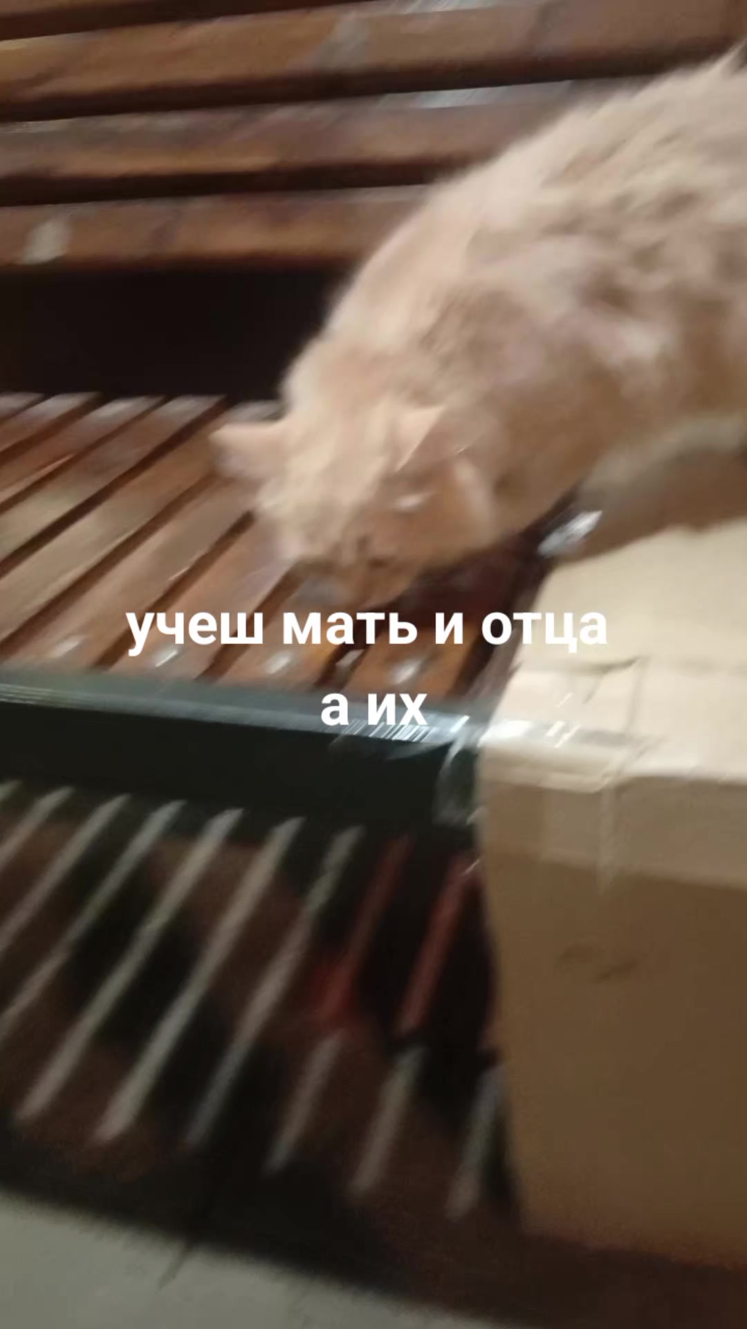 @антон азуевский