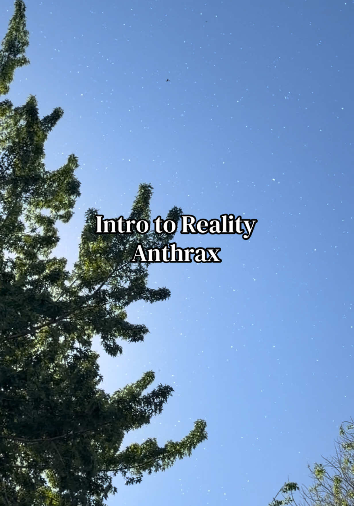 @Audrey