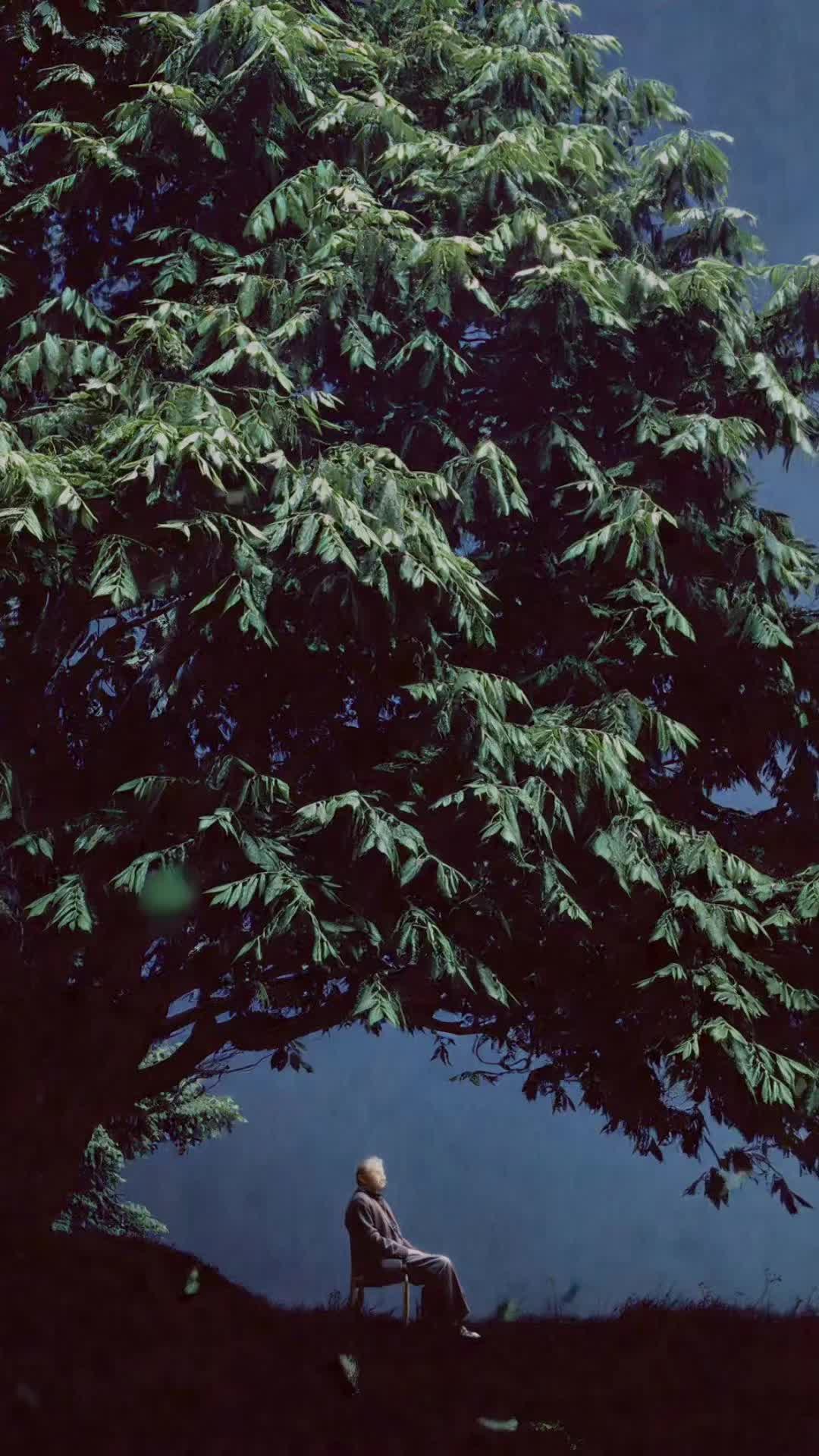 @🫡