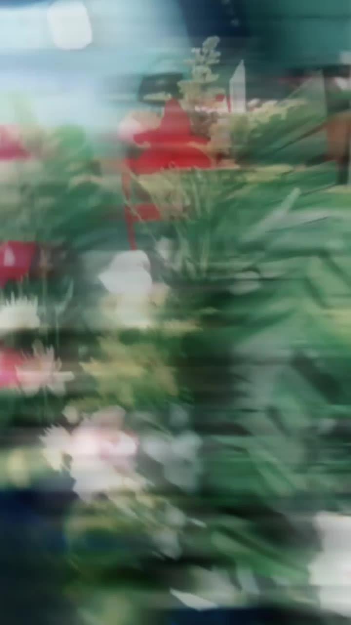 @elizabautista318