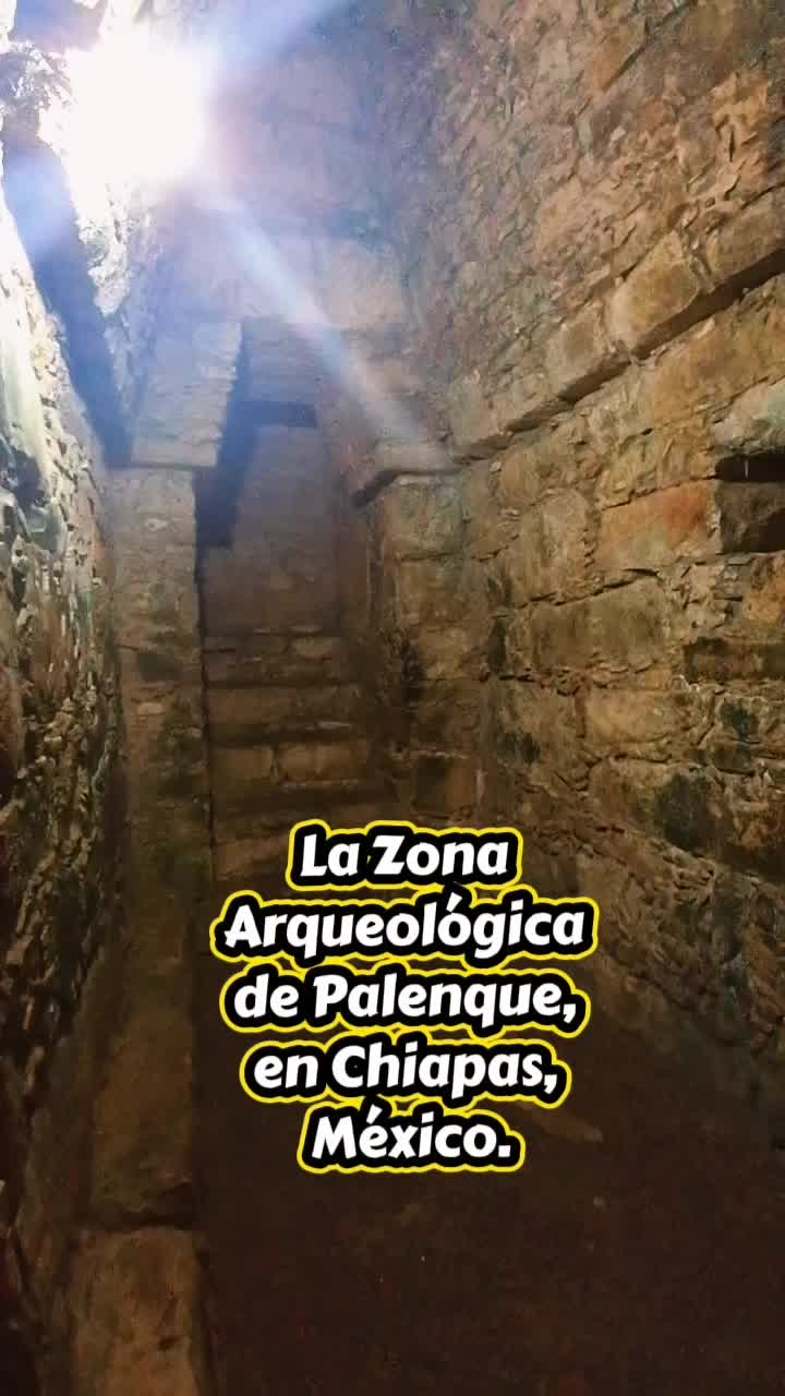 @Liliana Linares