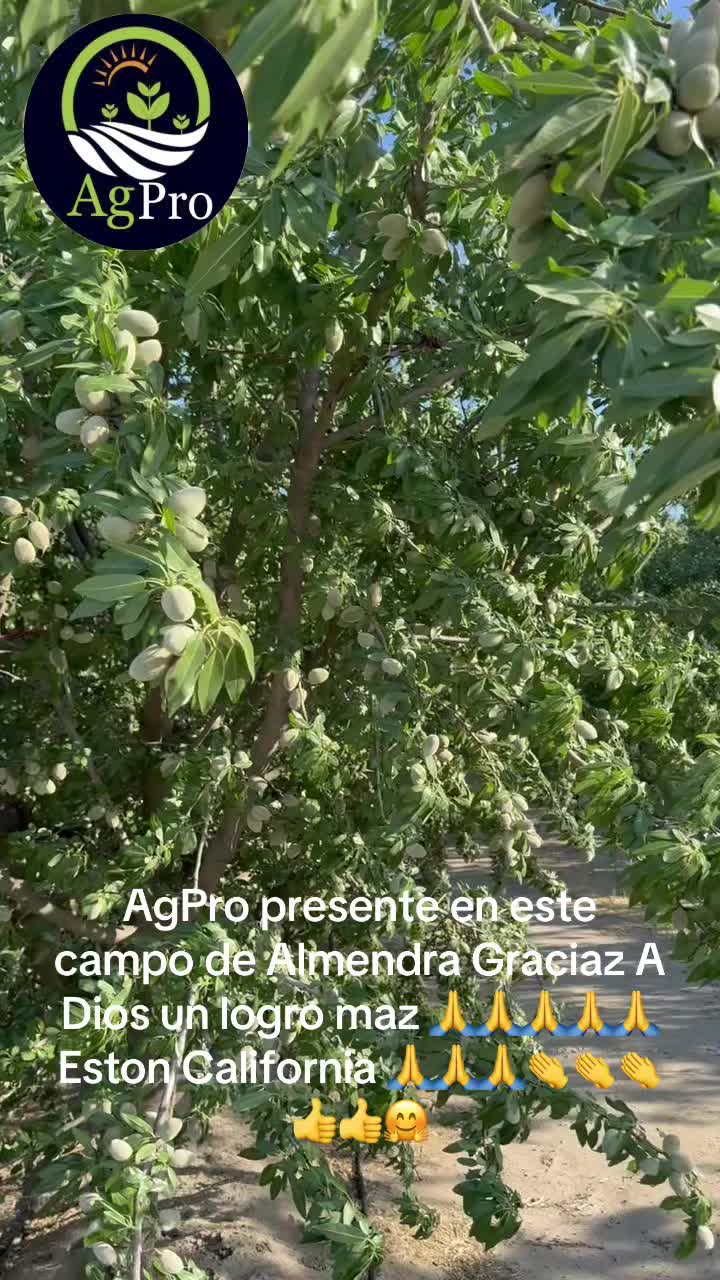 @Piedad Ayala