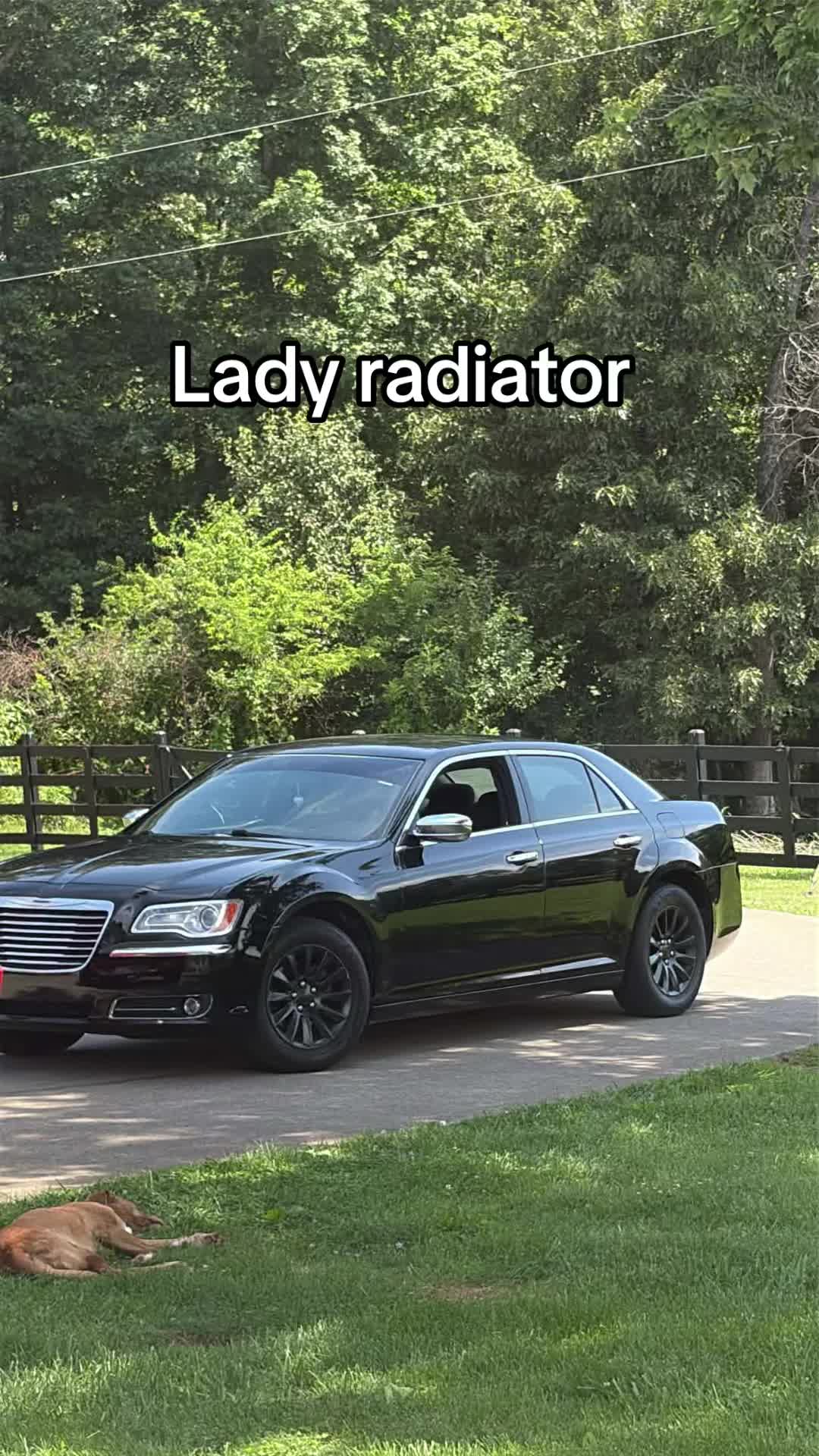 @Greenbackmafia