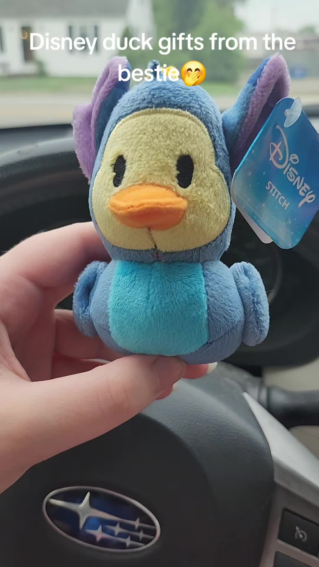 @Lord of the Ducks