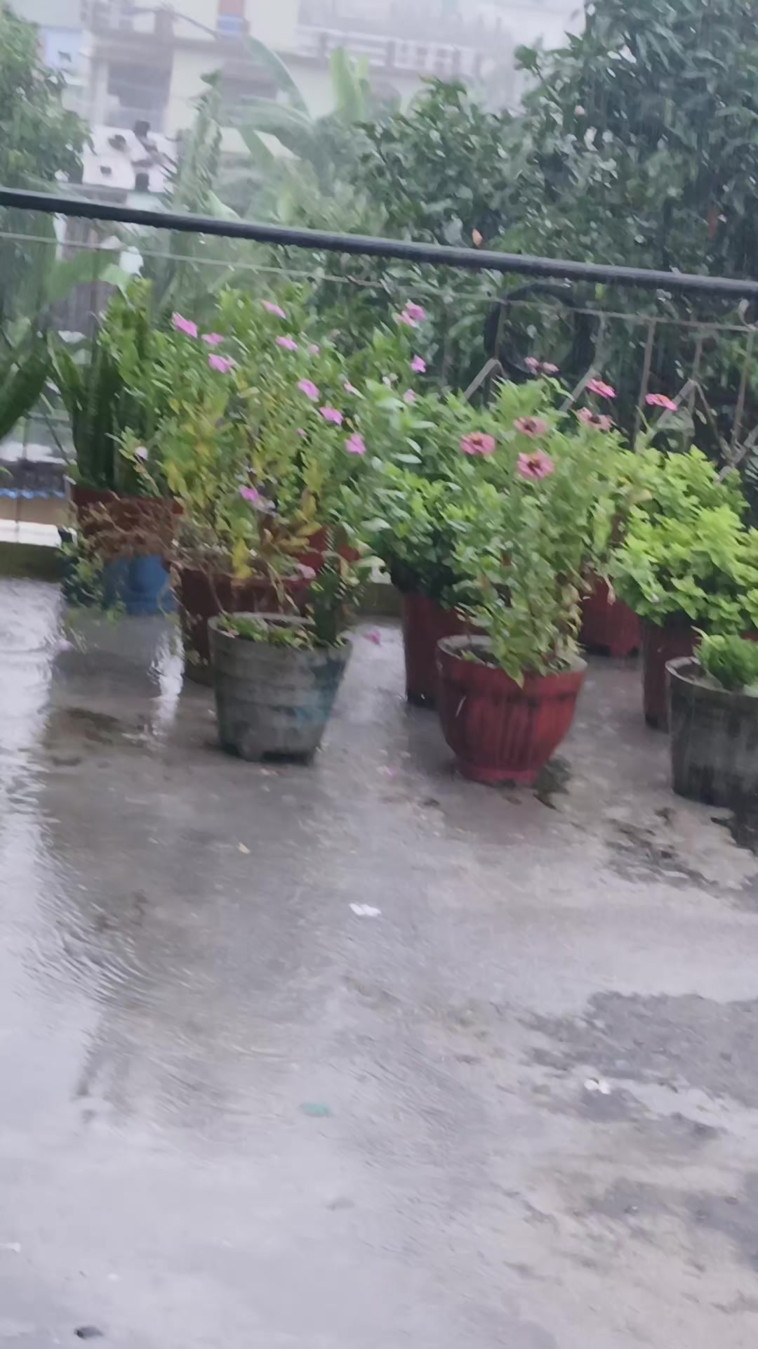 @सपना फेसन सप