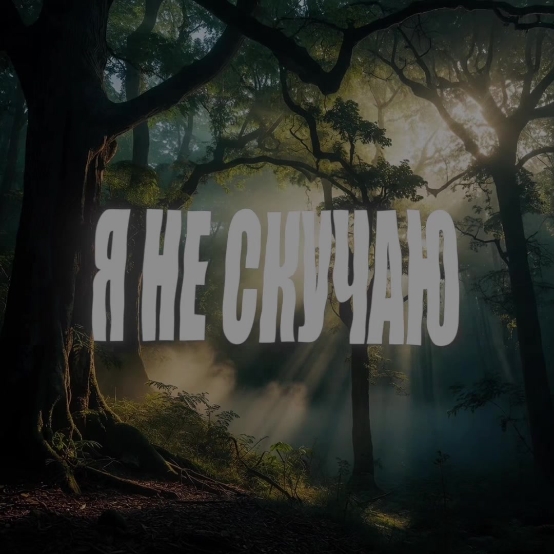 @динзик🤍| ディン