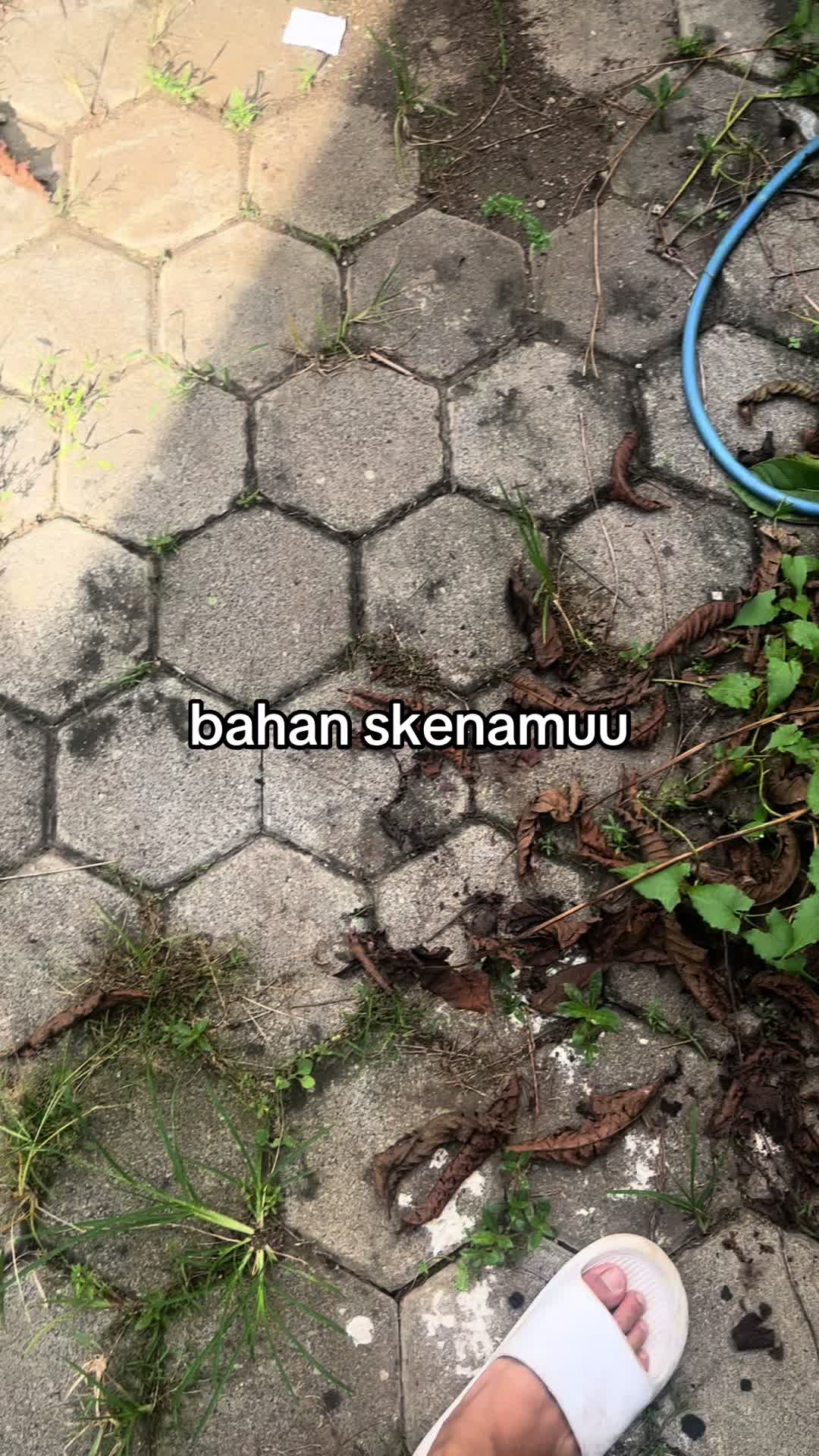 @GUDANG SAE